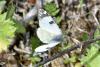 340046 – Photo : Michel Mathieu – France (11)