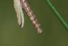 340514 – Photo : morikan – France (14)
