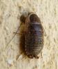 340297 – Photo : Emmanuel Ruchon – France (26)