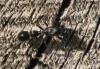 340406 – Photo : éric Pensa – France (13)