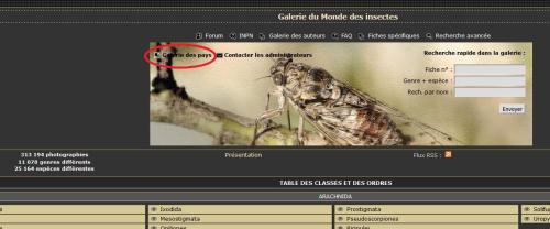 Indéterminé