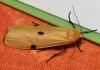 341880 – Photo : Liliane Delattre – France (30)