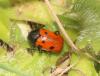 341297 – Photo : Daniel INGREMEAU – France (36)