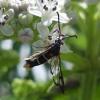 341418 – Photo : Mathurin CARNET – France (58)