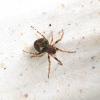 341308 – Photo : Mathurin CARNET – France (58)