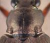 341380 – Photo : Lukas Lischer – Allemagne