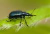 341768 – Photo : Thomas Reverchon – France (21)
