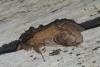 341420 – Photo : Mathurin CARNET – France (89)