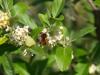 341544 – Photo : Prune Rebout-Delpuech – France (31)