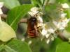 341548 – Photo : Prune Rebout-Delpuech – France (31)