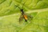 341821 – Photo : Daniel INGREMEAU – France (36)