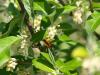 341545 – Photo : Prune Rebout-Delpuech – France (31)