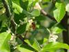 341543 – Photo : Prune Rebout-Delpuech – France (31)