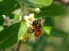 341549 – Photo : Prune Rebout-Delpuech – France (31)