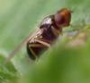 341834 – Photo : Luc Bettinelli – France (25)