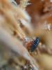 341591 – Photo : Martin Romet – France (04)