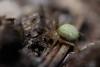 341251 – Photo : BourrinOman – France (83)