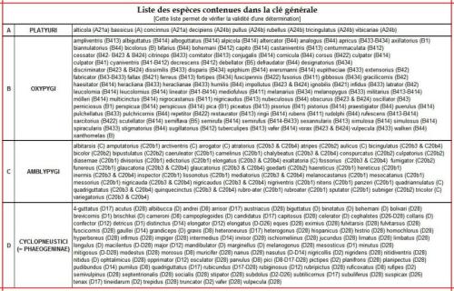 Indéterminé