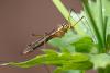 342830 – Photo : Pierre Duhem – France (75)