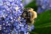 342791 – Photo : Jessica Joachim – France (09)