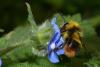 342423 – Photo : Christophe Quintin – France (22)