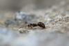 342342 – Photo : Mathurin CARNET – France (58)