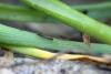 342340 – Photo : Mathurin CARNET – France (58)