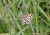 342811 – Photo : Christian Berquer – France (05)
