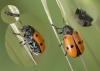 342420 – Photo : éric Pensa – France (13)