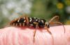 342367 – Photo : Catherine Reymonet-Smitten – France (19)