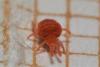 342676 – Photo : Nataël Adam – France (22)