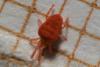342675 – Photo : Nataël Adam – France (22)