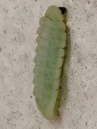 Réf. 343 729 : Celastrina argiolus