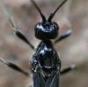 343632 – Photo : Didier Houbrechts – Belgique