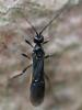 343631 – Photo : Didier Houbrechts – Belgique