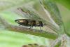 343973 – Photo : Gerard VIGO – France (45)