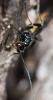 343725 – Photo : Didier Houbrechts – Belgique