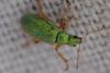 343485 – Photo : Christian Berquer – France (05)
