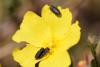 343068 – Photo : Hugo Berteloot – France (33)