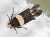 343771 – Photo : Philippe Mothiron – France (78)