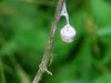 343254 – Photo : Brigitte K – France (70)