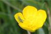 343987 – Photo : Fabrice DUSERRE – France (65)