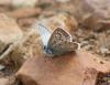 343116 – Photo : Philippe Fourtier – France (06)