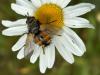 343752 – Photo : Gould24 – France (24)