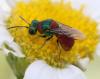 343143 – Photo : Marc Thibault – France (13)