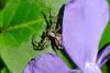 343512 – Photo : Guillaume Huot-Marchand – France (88)