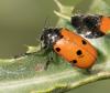 343071 – Photo : éric Pensa – France (13)