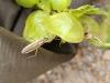 344653 – Photo : THOMAS LUX – France (45)