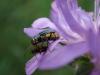 344597 – Photo : Mathieu Junger – France (54)
