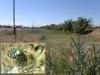 344636 – Photo : Stephane VASSEL – Kazakhstan